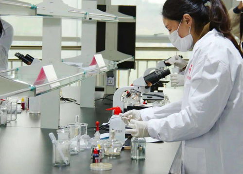 技能比武顯身手，舌尖安全共守護——平陰縣成功舉辦第四屆職業技能大賽農產品食品檢驗員競賽